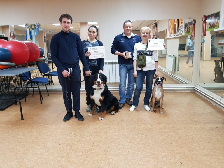 Выпуск группы по дрессировке собак в Иркутске за апрель 2019 года