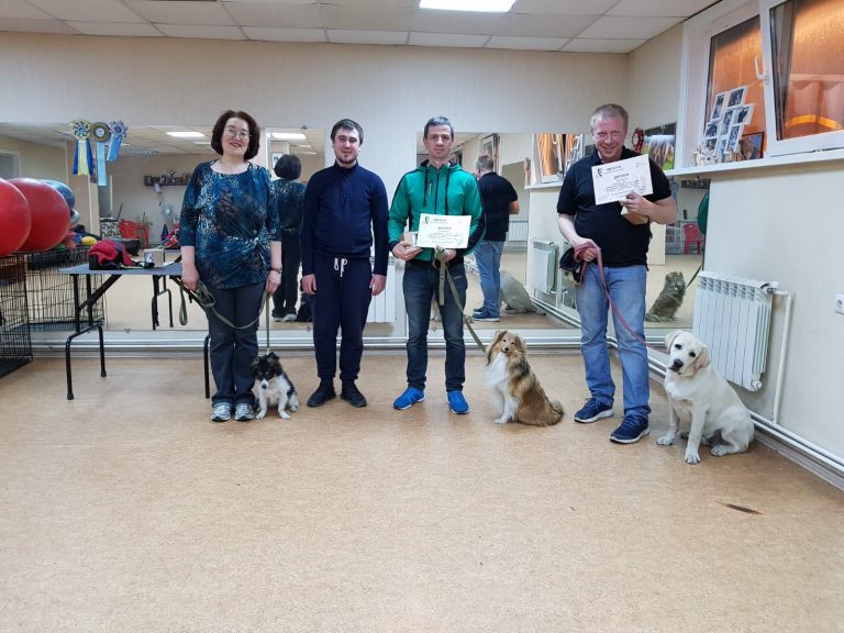 Выпуск группы по дрессировке собак в Иркутске за Апрель 2019