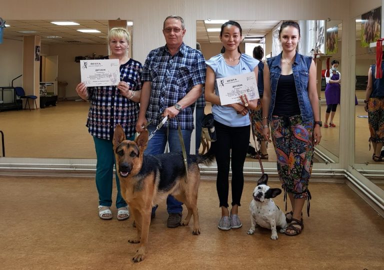 Выпуск группы по дрессировке собак в Иркутске за Июль 2019
