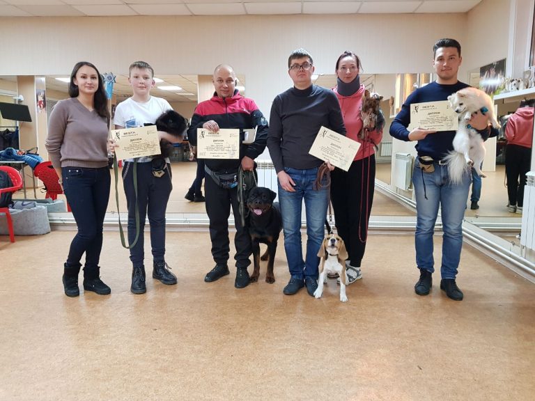 Выпускники курсов по дрессировке собак в Иркутске за ноябрь 2019 года