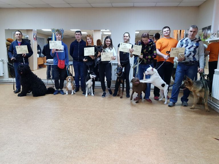 Выпускники курсов по дрессировке собак в Иркутске за декабрь 2019 года