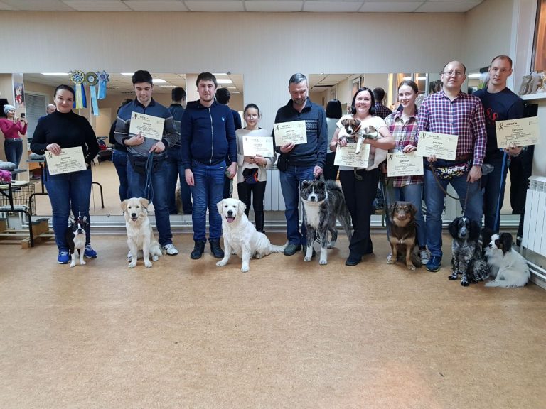 Выпускники курсов по дрессировке собак в Иркутске за январь 2019 года
